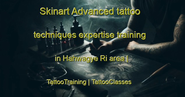 Skinart Advanced tattoo techniques expertise training in Hahwagye Ri area | TattooTraining | TattooClasses | SkinartTraining-Republic of Korea